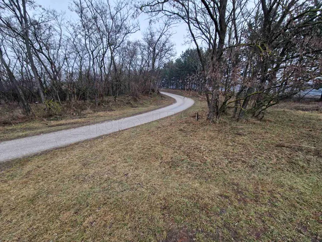 Eladó mezőgazdasági ingatlan Lovasberény 1465 nm