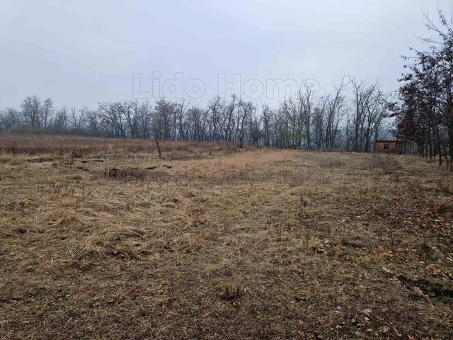 Eladó mezőgazdasági ingatlan Lovasberény 2927 nm