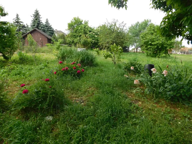 Eladó ház Szabadbattyán 78 nm
