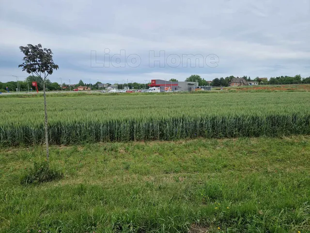 Eladó telek Polgárdi 885 nm