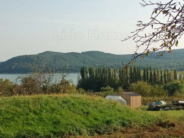 Eladó mezőgazdasági ingatlan Fehérvárcsurgó 6405 nm