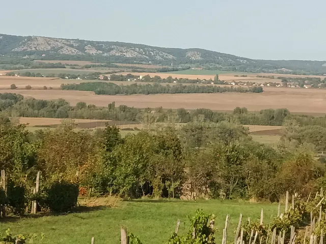 Eladó mezőgazdasági ingatlan Fehérvárcsurgó 6405 nm