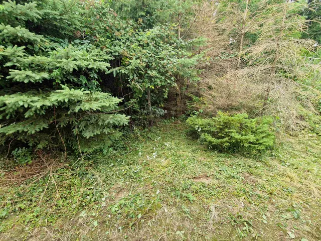 Eladó telek Kustánszeg 982 nm