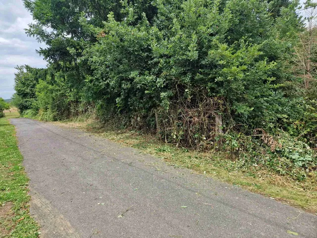 Eladó telek Kustánszeg 982 nm