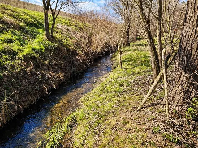 Eladó telek Szápár 1417 nm