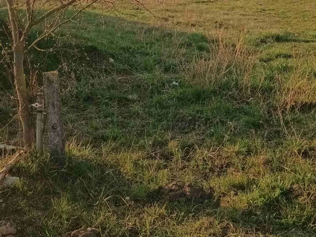 Eladó telek Söréd 1000 nm