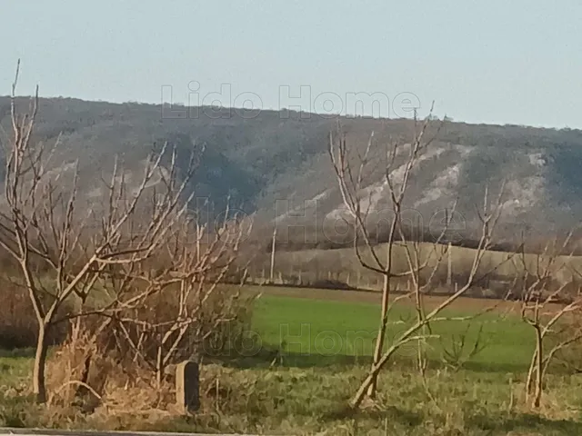 Eladó telek Söréd 1000 nm