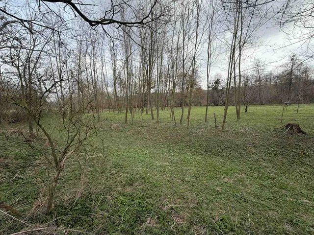 Eladó mezőgazdasági ingatlan Jásd 2980 nm