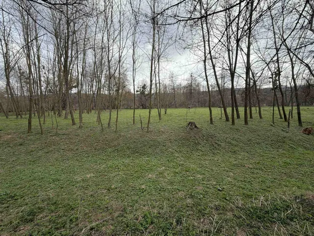 Eladó mezőgazdasági ingatlan Jásd 2980 nm