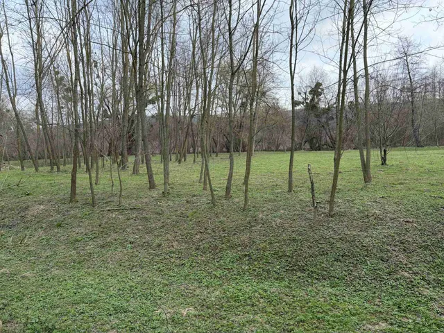 Eladó mezőgazdasági ingatlan Jásd 2980 nm