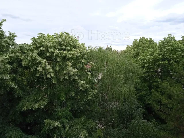 Eladó lakás Székesfehérvár 51 nm