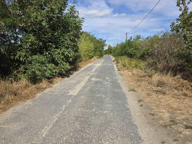 Eladó mezőgazdasági ingatlan Polgárdi 4469 nm