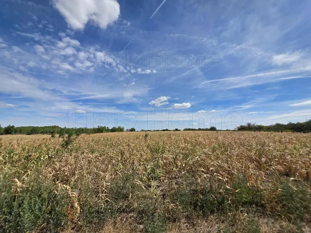 Eladó mezőgazdasági ingatlan Polgárdi 9197 nm