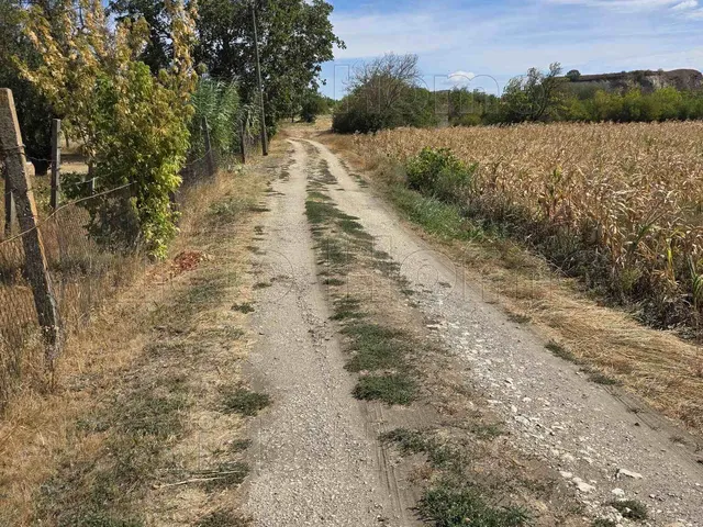 Eladó mezőgazdasági ingatlan Polgárdi 9197 nm