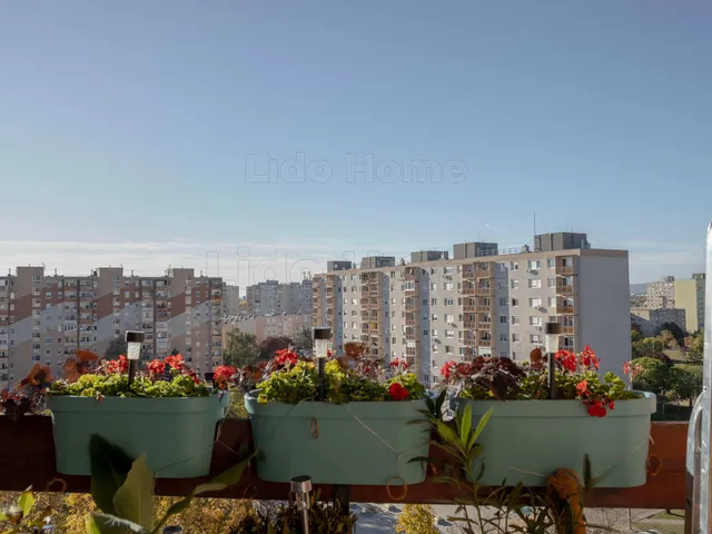 Eladó lakás Székesfehérvár, Palotaváros 54 nm