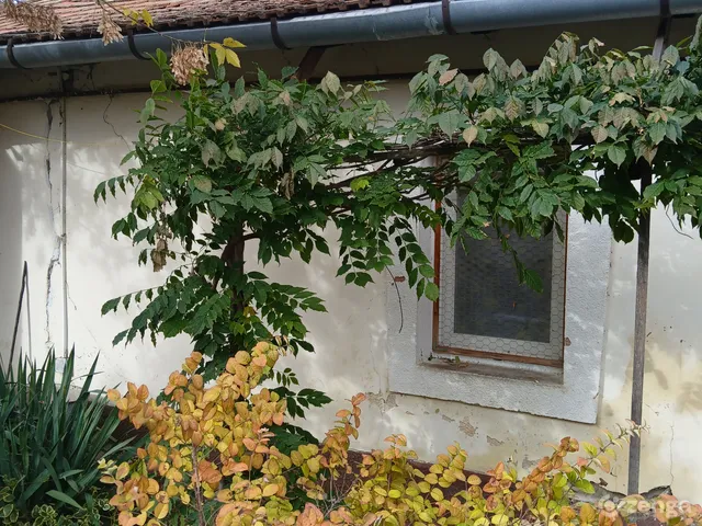 Eladó ház Gyomaendrőd, Endrőd 65 nm