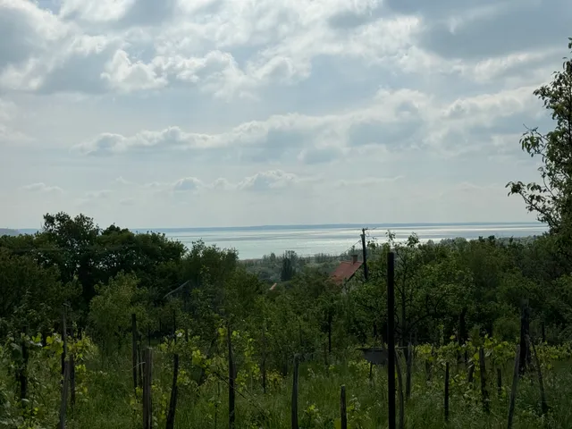 Eladó telek Balatonalmádi 3000 nm