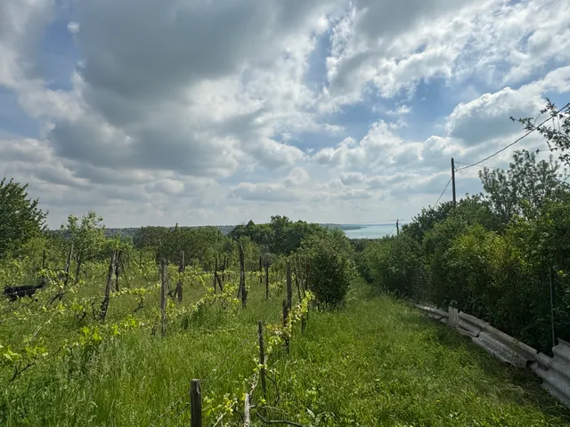 Eladó telek Balatonalmádi 3000 nm