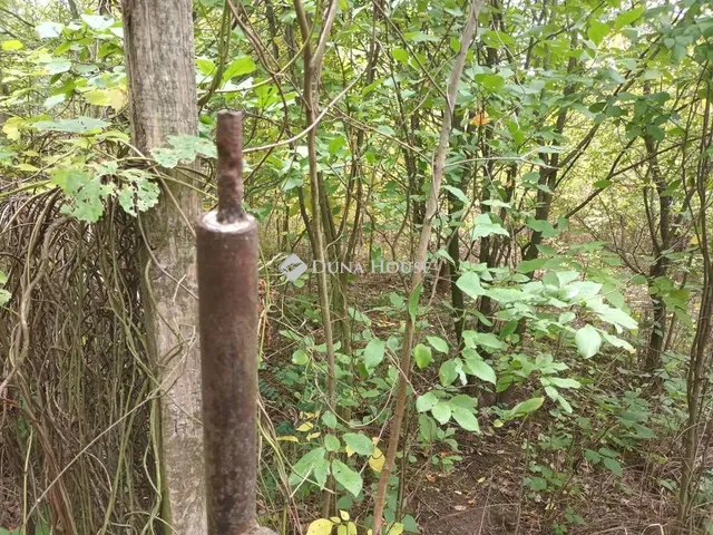 Eladó telek Szajol 809 nm
