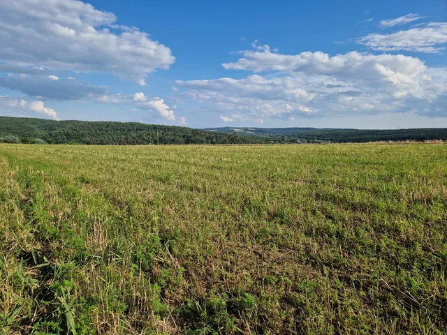 Eladó telek Isaszeg 22000 nm