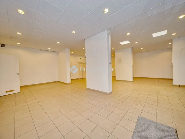 Kiadó kereskedelmi és ipari ingatlan Budapest XIX. kerület 169 nm