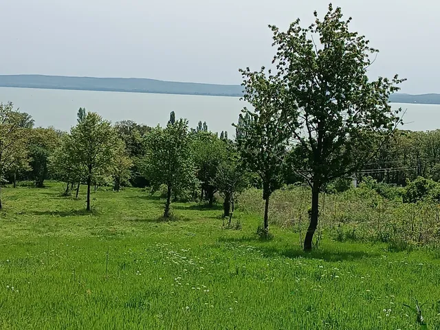 Eladó telek Balatonszepezd, Árpád u 3003 nm