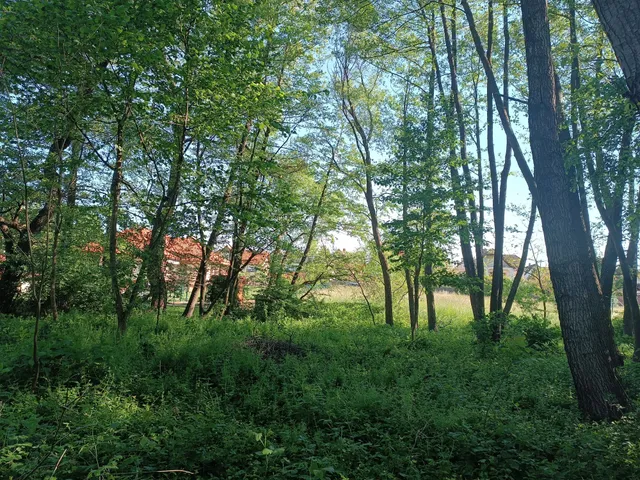 Eladó telek Herend 1616 nm