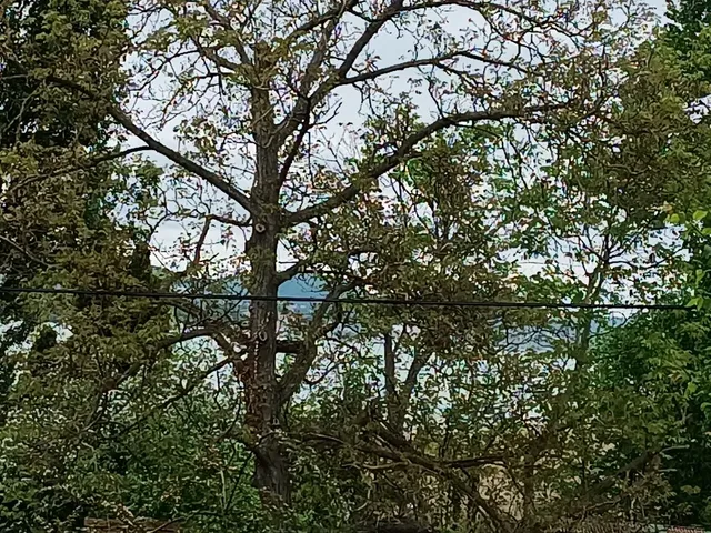 Eladó ház Tihany 150 nm