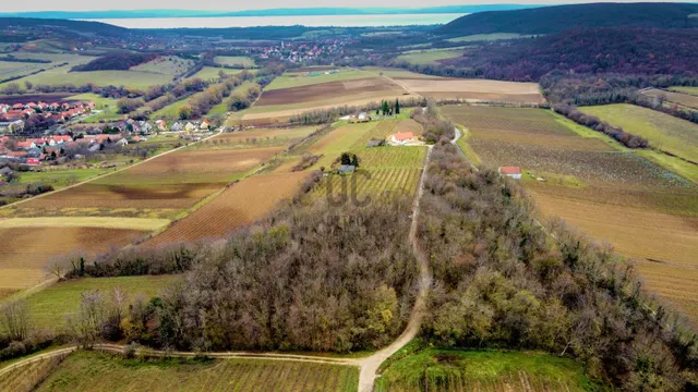 Eladó mezőgazdasági ingatlan Balatoncsicsó 10017 nm