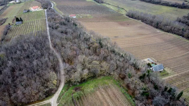 Eladó mezőgazdasági ingatlan Balatoncsicsó 10017 nm