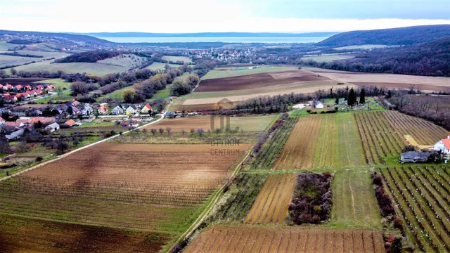 Eladó mezőgazdasági ingatlan Balatoncsicsó 4672 nm