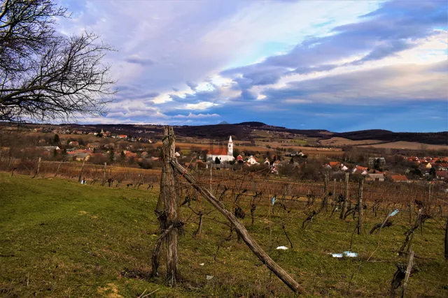 Eladó mezőgazdasági ingatlan Balatoncsicsó 4672 nm