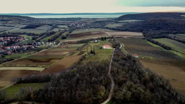 Eladó mezőgazdasági ingatlan Balatoncsicsó 4672 nm