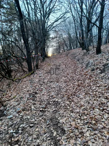 Eladó mezőgazdasági ingatlan Dörgicse 12385 nm