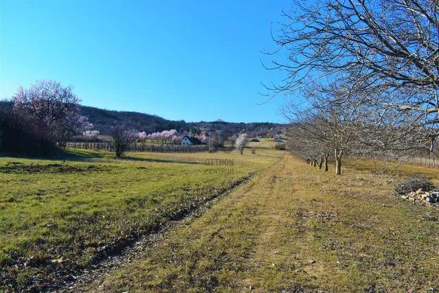 Eladó mezőgazdasági ingatlan Balatonudvari 26000 nm