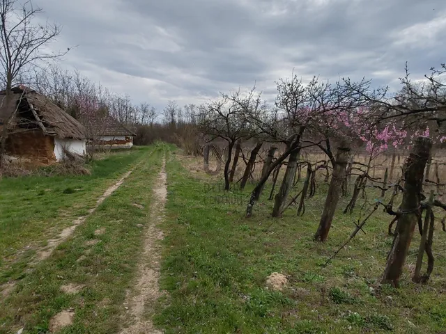 Eladó üdülő és hétvégi ház Nikla 24 nm