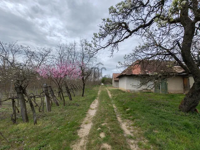 Eladó üdülő és hétvégi ház Nikla 24 nm