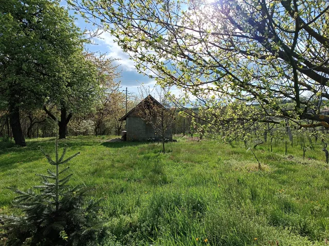 Eladó ház Zalacsány 30 nm