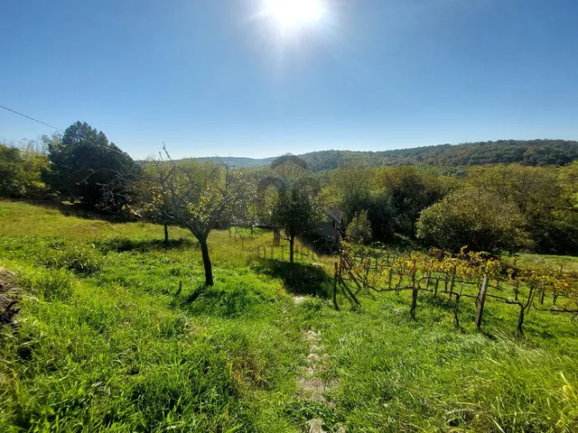 Eladó ház Ságvár 45 nm