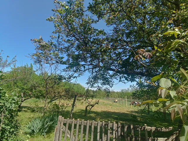 Eladó ház Öreglak 92 nm