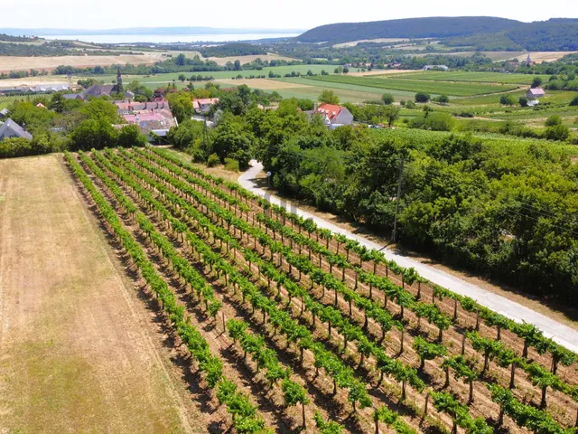Eladó telek Szentjakabfa 3952 nm