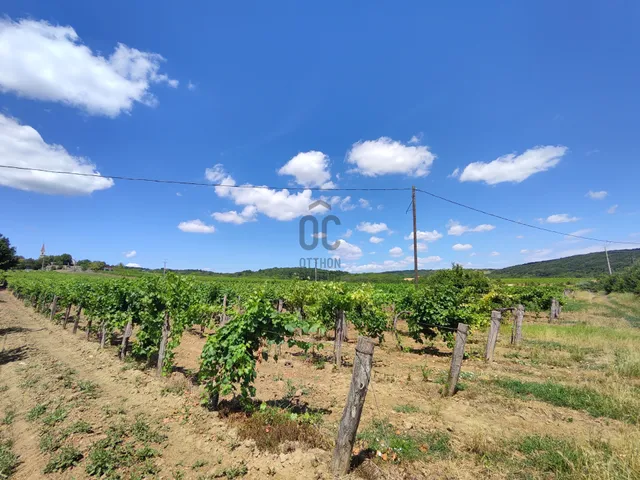 Eladó telek Szentjakabfa 7630 nm