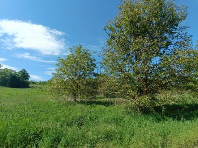 Eladó telek Balatonberény 4283 nm