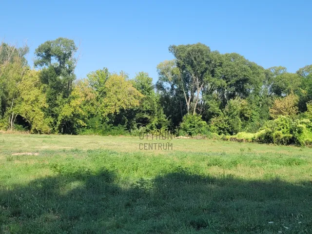 Eladó telek Szőlősgyörök 6000 nm