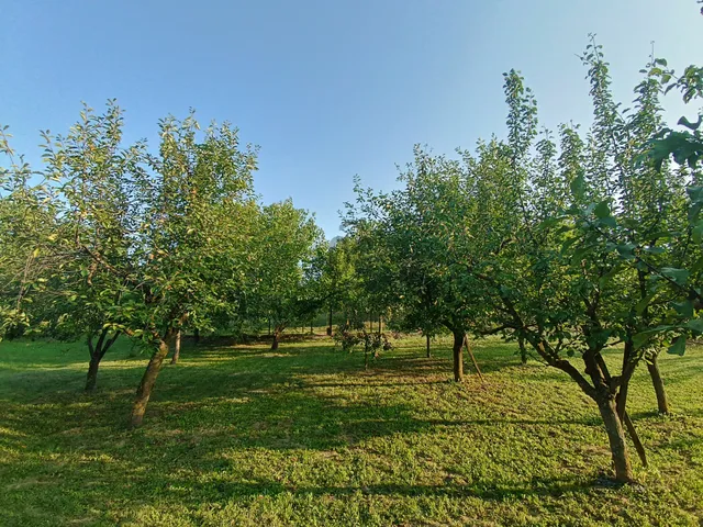 Eladó üdülő és hétvégi ház Marcali 33 nm