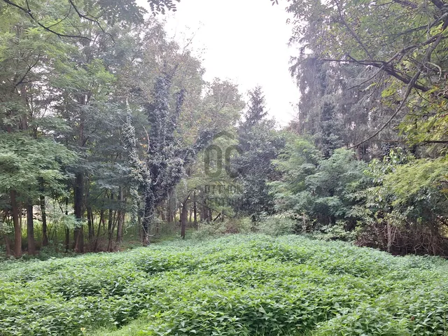 Eladó ház Gadány 90 nm