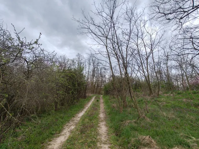 Eladó üdülő és hétvégi ház Nikla 25 nm