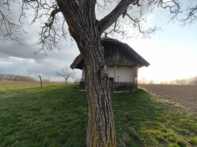 Eladó üdülő és hétvégi ház Buzsák 45 nm