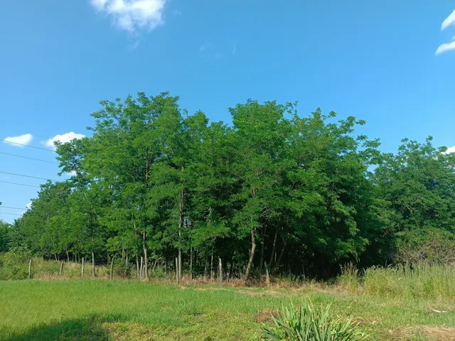 Eladó telek Zalacsány 5300 nm