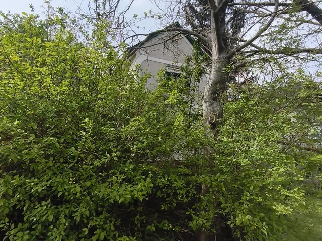 Eladó üdülő és hétvégi ház Rezi 63 nm